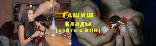 прущие грибы Няндома