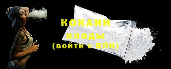 прущие грибы Няндома