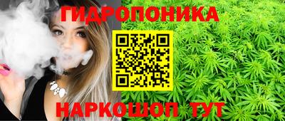mdpv Аргун