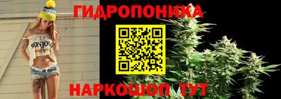 индика Апрелевка