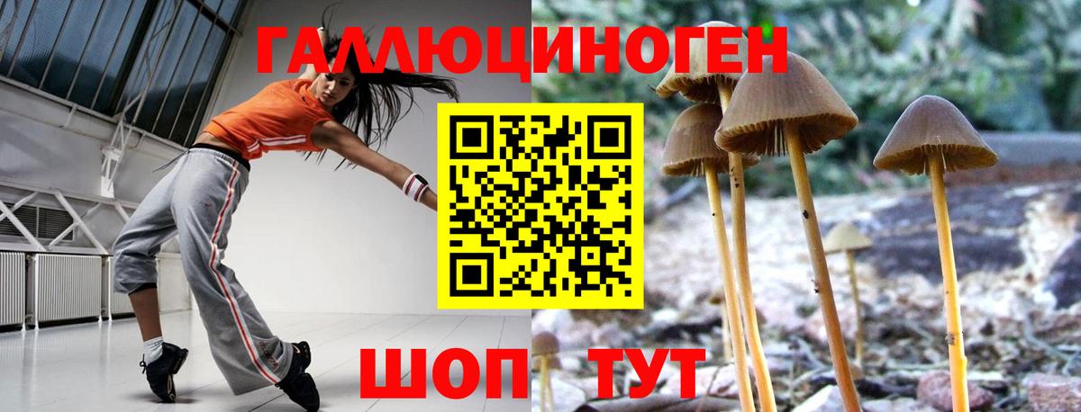 Псилоцибиновые грибы мицелий Балашиха